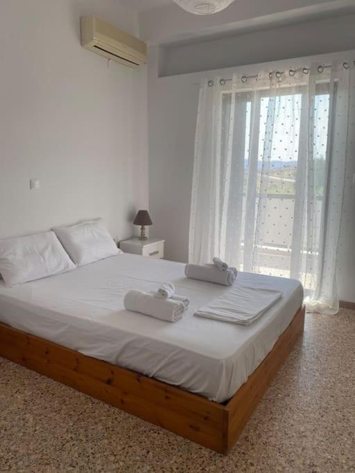 Anastasias Guesthouse Aetos  外观 照片